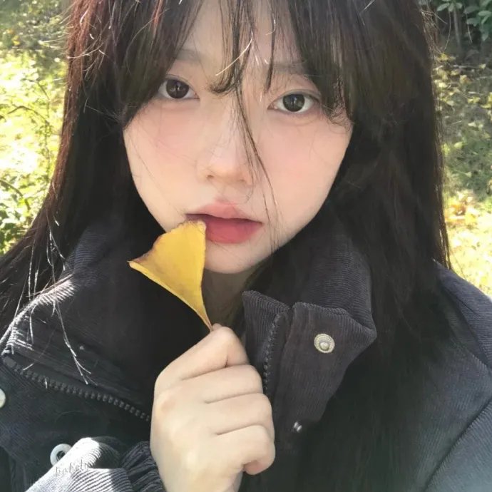 阿亚潘和柯西